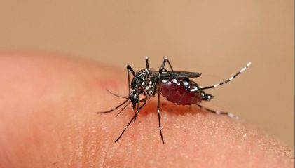 Vigilância Sanitária de Rafard pede a colaboração da população no combate contra a dengue