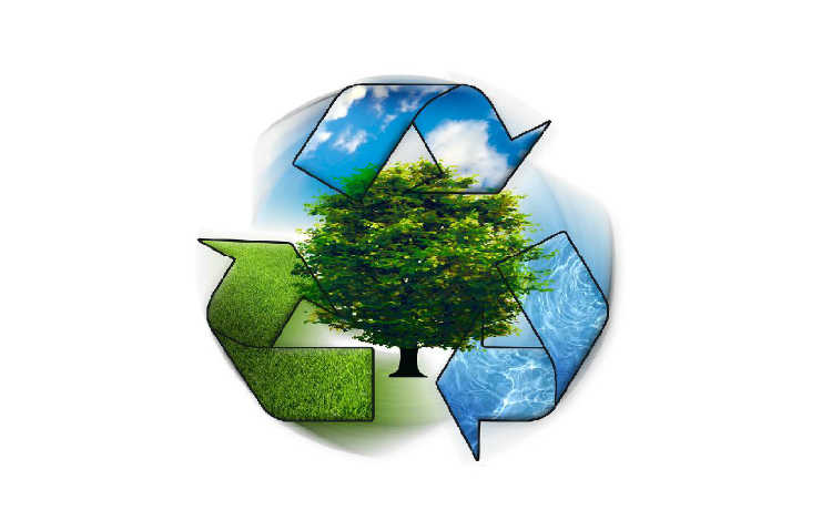 You are currently viewing Coleta de materiais recicláveis
