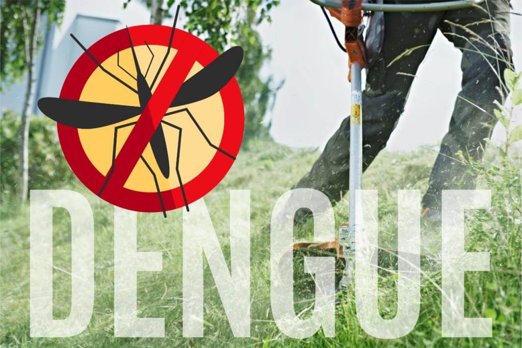 Leia mais sobre o artigo Gestão da Saúde derruba casos de dengue pela metade em Rafard